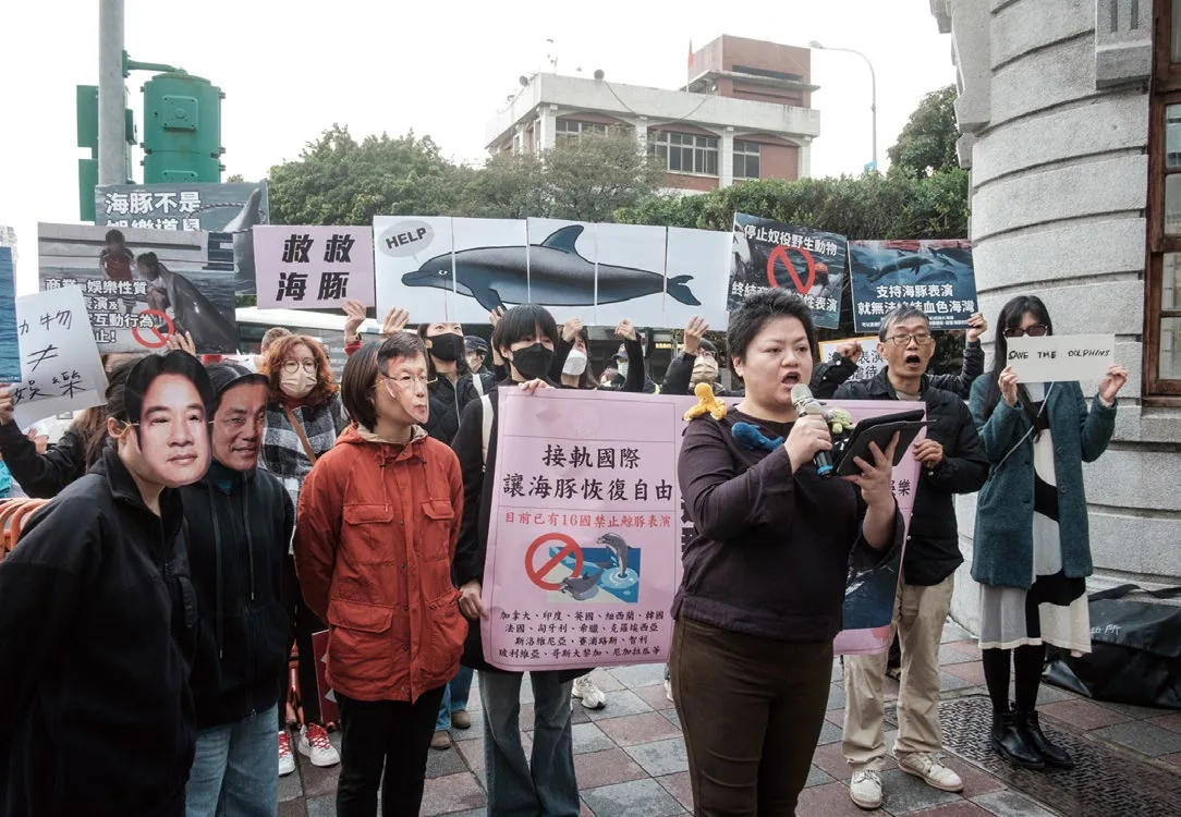 2024 年，群眾聚集於總統府前，呼籲總統候選人要求主管機關依《野生動物保育法》終止海豚表演，最終成功讓主管機關重視問題，進而禁止水族館進行鯨豚表演。