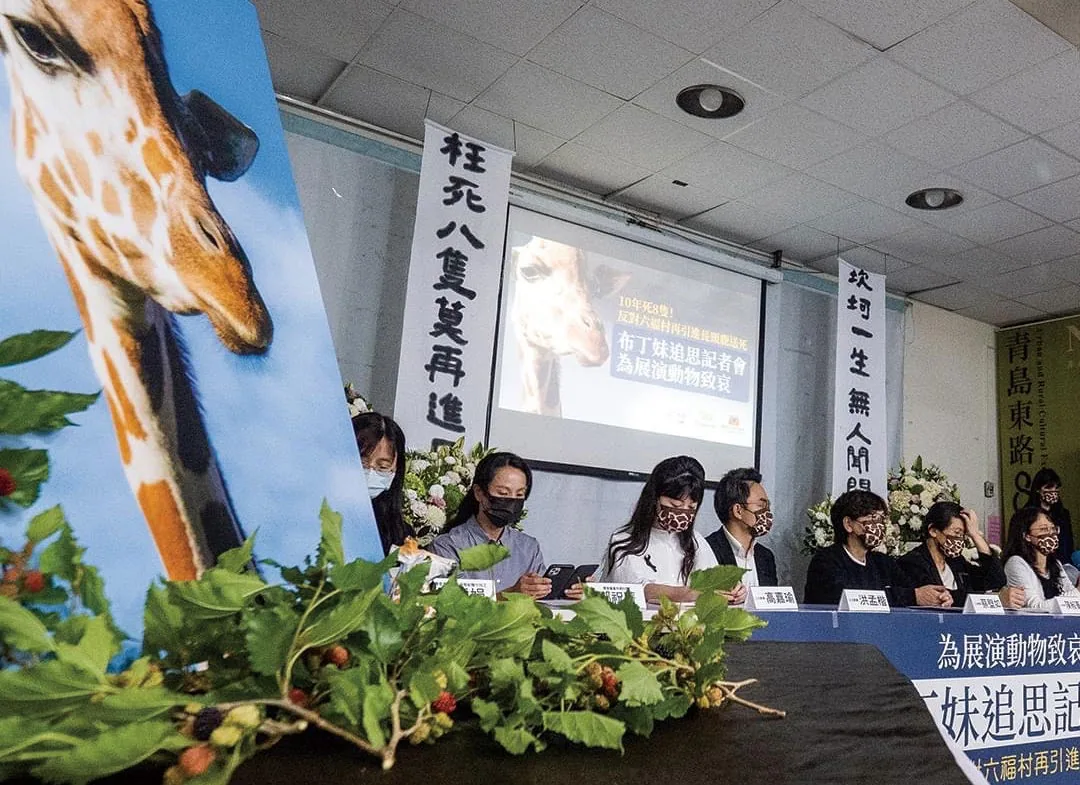 台灣動保團體 長期監督動物展演場所，多次與立法委員合作召開記者會，訴求修法從源頭改善問題。
